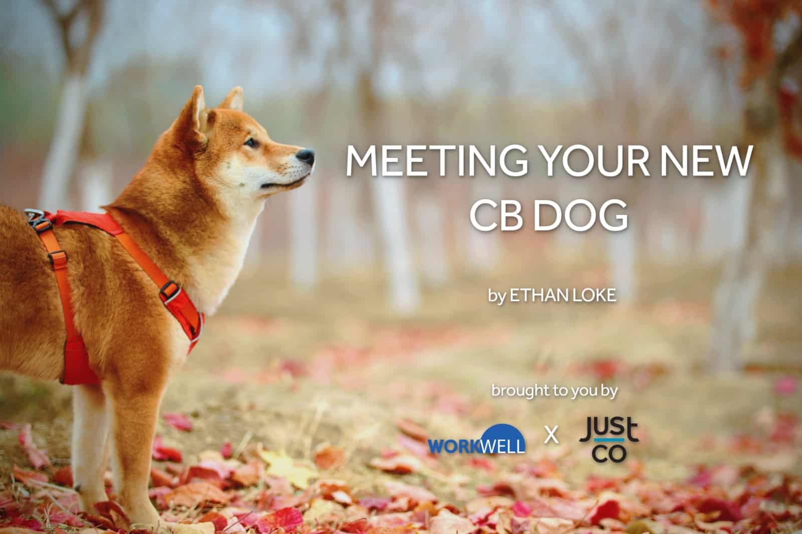 Workwell.SG COVID-19 Pets Webinar Part 1 – 5th July 2020